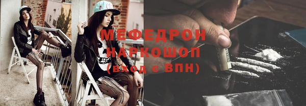 индика Аркадак