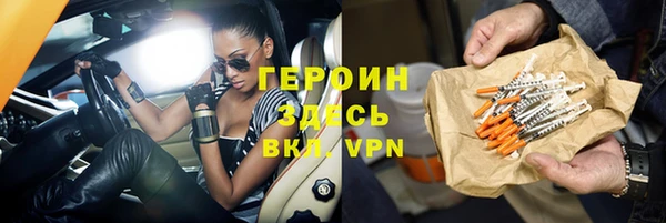 индика Аркадак