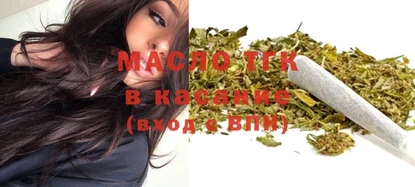 индика Аркадак