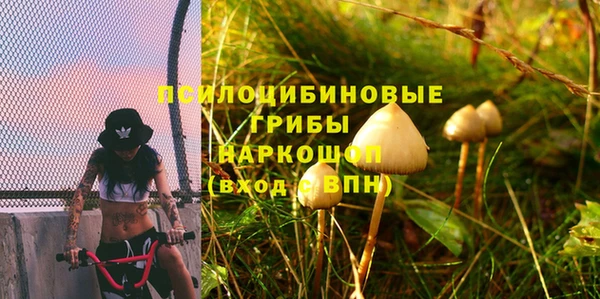 меф Арсеньев