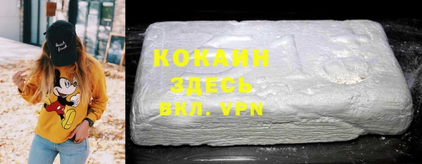 индика Аркадак